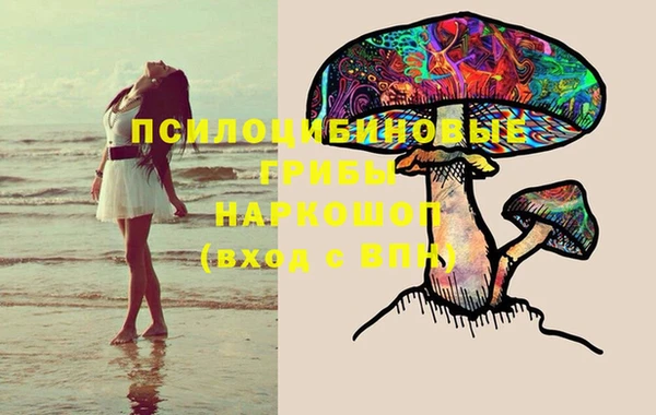 мяу мяу мука Осинники